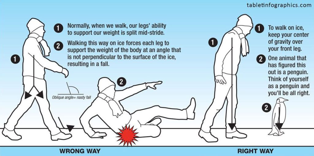 Info graphic about how to walk on ice to prevent falling. Walking like a penguin with your center of gravity over your front leg is the best way to walk on ice
